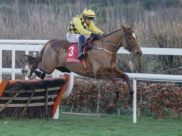 Now that the reigning title-holder Constitution Hill has defected after an infection left him below-par, the new long odds-on favourite for Tuesday's Unibet Champion Hurdle (3.30) is Willie Mullins's brilliant STATE MAN. The 7yo has won ten of his last 11 races, including eight at the highest Grade One level, with his only defeat coming when he was runner-up in last year's Champion. In a poor edition this time, it's hard to find fault with the classy recruit from France, who hasn't put a foot wrong since falling on his first start for Mullins on Boxing Day 2021. He's the banker of the meeting for many, to give jockey Paul Townend his first win in the race.