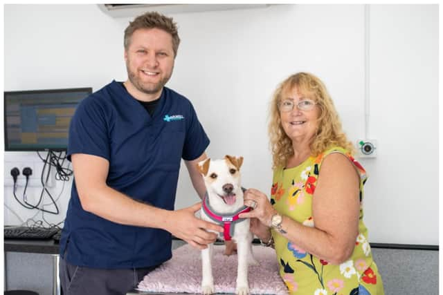 Vet Lloyd Groves with Winnie at Arundell Vets and Helen’s mother, Vivien Woodrow. Photo: Arundell Vets