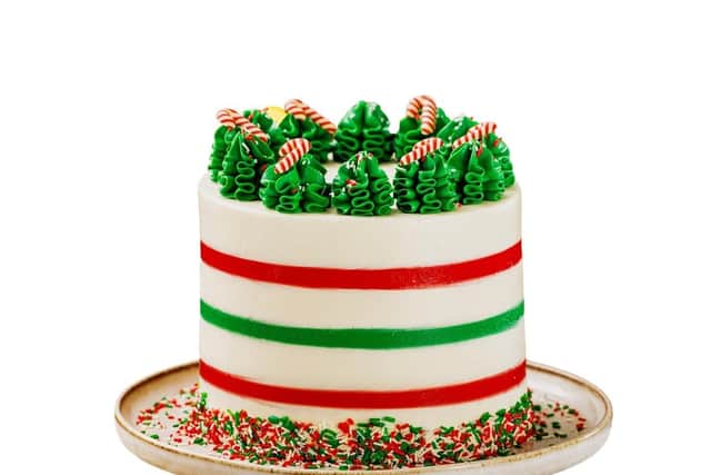 Candy Cane Hot Chocolate Cake.