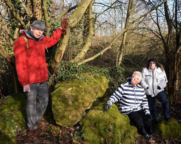 Alan Brocklehurst, Secretary, Carol Sellars and Carl Smith, members of Friends of the Crags, pictured at the Crags. Picture: NDFP-22-02-20 FriendsCrags 3-NMSY