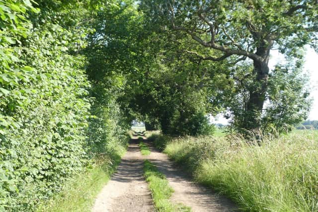 Enjoy a stroll between Tickhill and Rossington with Doncaster Ramblers