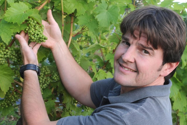 Pictured at Renishaw Hall Vineyard in 2011 is Manager Kieron Atkinson