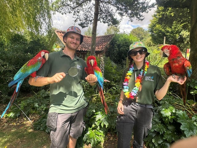 Tropical Treasures trail swings into summer at the Tropical Butterfly House.