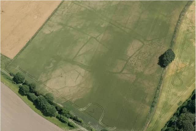 Roman field systems near Doncaster. (Photo: Historic England).