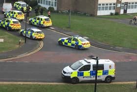 Armed police flocked to the street after a man suffered a serious injury after being attacked by an XL Bully dog.