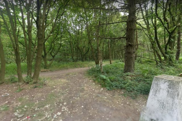 Grenoside Wood is another place that would be brilliant for a picturesque bike ride due to it having bike-friendly bridleways that pass through the woods