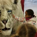 The Snow Lion will walk the malls of Frenchgate.