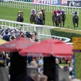 There's another busy day of racing at Doncaster this Friday. (Photo by Alan Crowhurst/Getty Images)