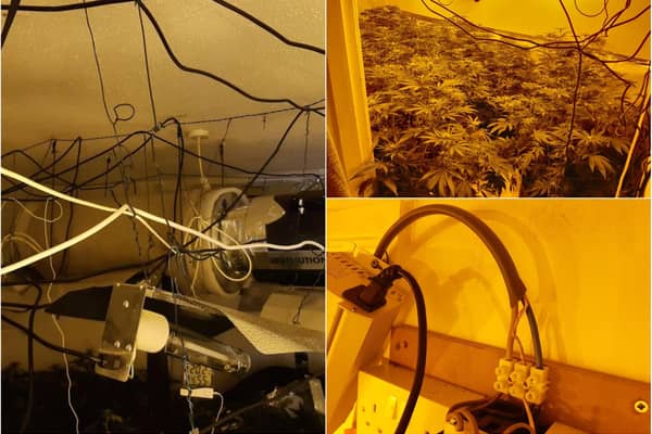 This cannabis cultivation set-up was dismantled after police found it in a house in Burngreave, Sheffield