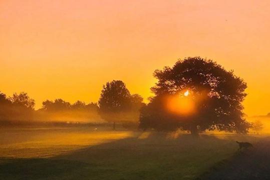 A golden morning captured by @damian_jackson_photographer