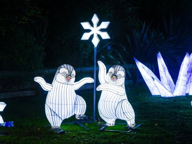 Yorkshire Wildlife Park winter illuminations 2025