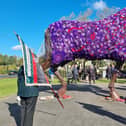 Watch as War Horse memorial gets purple poppy coat to remember fallen service animals