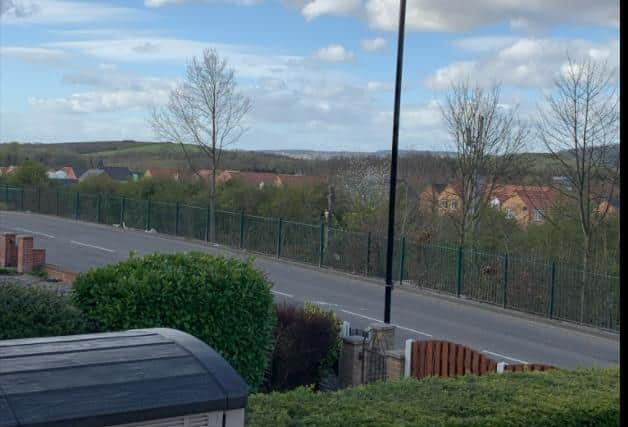 Trees have been removed next to the railway at Conisbrough