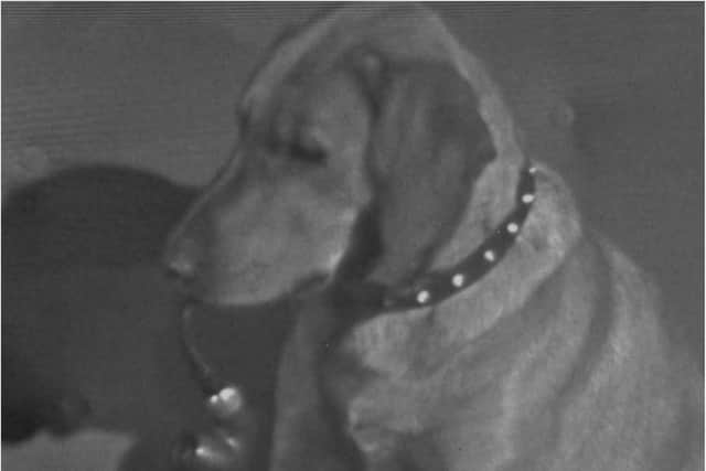 Butch smoking a pipe in Doncaster in 1957. (Photo: BBC)