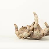 Latest exhibition at Danum Gallery, Library and Museum is an intriguing display of ceramics and mixed media works.
