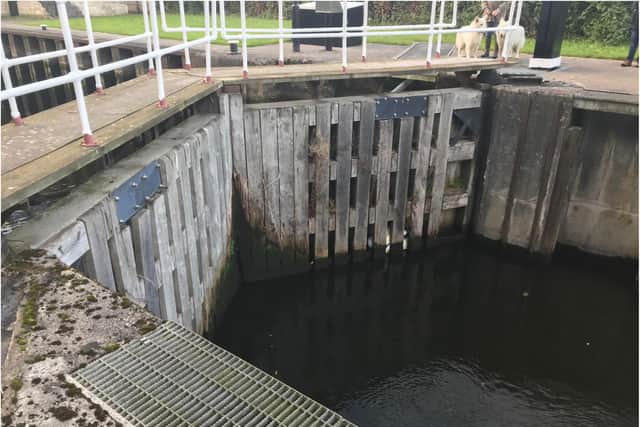 Fire crews and RSPCA officers carried out at the rescue at Swinton Lock.