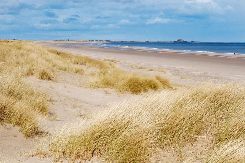 The beach at Ross Sands, between Holy Island and Bamburgh, is stunning.