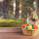 Get your wheels ready for Flourish’s big Easter parade.