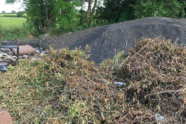 Garden waste dumped near a farm in Conisbrough.