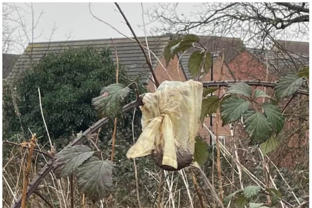 Bags of dog poo have been found dumped in trees and bushes in Kirk Sandall. (Photo: Kirk Sandall Glass Park).