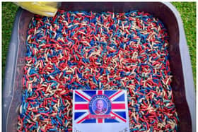 A Doncaster angling shop is selling red, white and blue maggots. (Photo: The Fishing Tackle and Bait Shop).