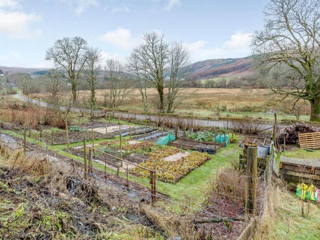 Vegetable garden.
