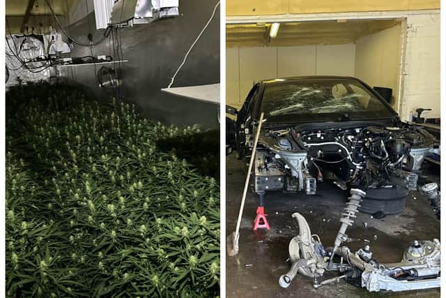 Police find stolen vehicles and cannabis plants in Doncaster 'chop shop'