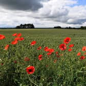 There will be a concert of Remembrance in Doncaster this November.