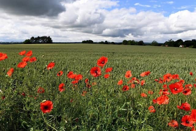 There will be a concert of Remembrance in Doncaster this November.
