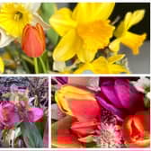 March is one of the busiest months in the garden.