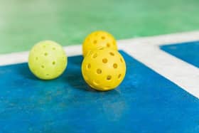 Plans have been submitted for pickleball courts in a Wheatley Hills warehouse.