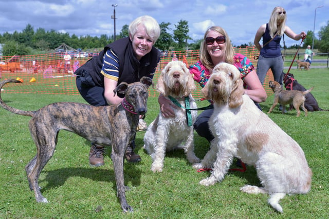 Diane Dignen (left) with her Lurcher Poppy and Beverley Nicholson with her Italian Spinone dogs Lilly (centre) and Daisey. It's a lovely reminder from the 2014 Dogs Day Out.