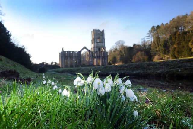 Fountains Abbey is one of Yorkshire's most beautiful settings.
