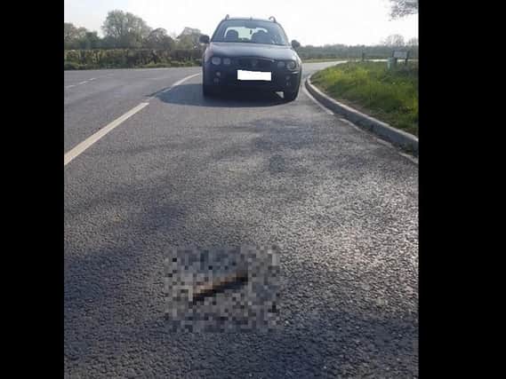 Neil Taylor stopped in the middle of the road to take a photo of the dumped sex toy. (Photo: Neil Taylor).
