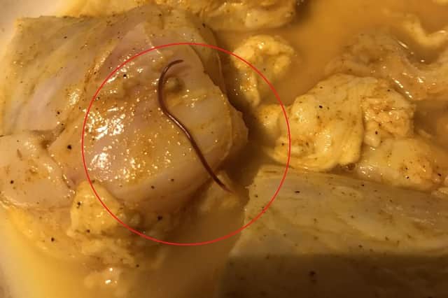 One of the live worms which crawled out of a piece of fish bought from a Doncaster supermarket. (Photo: Louis Yssel).