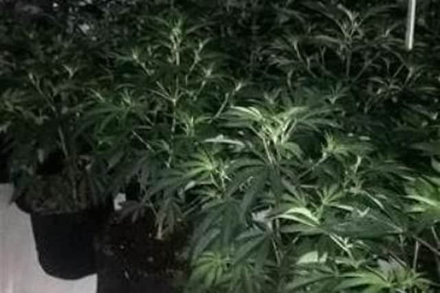 A cannabis factory was discovered in Hyde Park, Doncaster