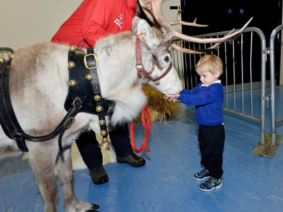 Troy the Reindeer Eskdale Academy pupil Jack Mason-Huntley. Picture by FRANK REID