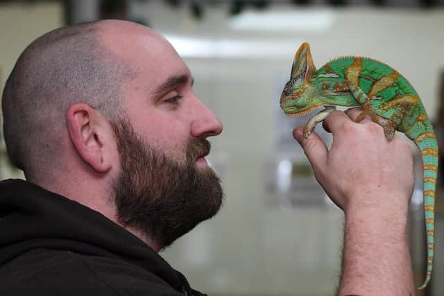 Lucan Handley, of Reptile Rendezvous with a chameleon at their shop in Waterdale, Doncaster.