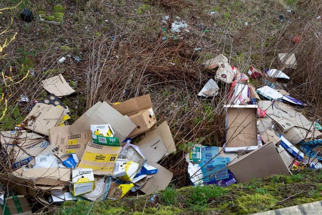 North Lincolnshire Council is calling on litter heroes to be part of the pick and join in the 2019 Great British Spring Clean