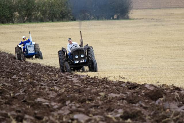 Festival of the Plough 2015 at High Burnham near Epworth. Action from the demonstration class.