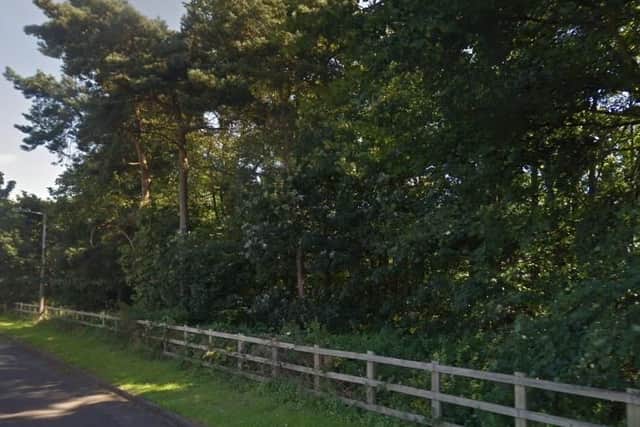 A boy, 13, was stabbed with a needle in Doncaster