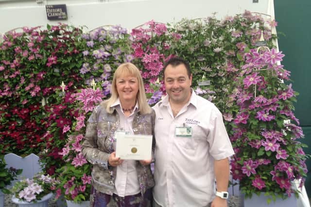 Taylors Clematis were awarded gold at the Chelsea Flower Show in 2014 and 15