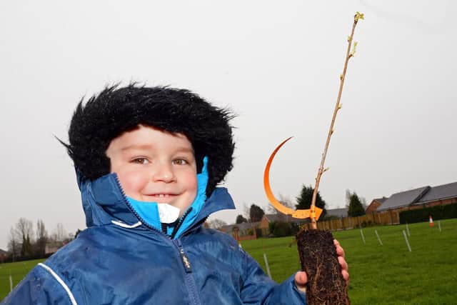Foundation stage one pupil Alan, pictured. Picture: Marie Caley NDFP-12-03-19-KingfisherTrees-3
