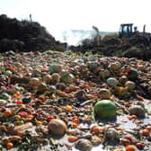 Food waste composting