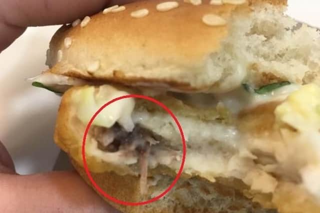 What appear to be tiny paws and a tail are clearly visible inside the burger.