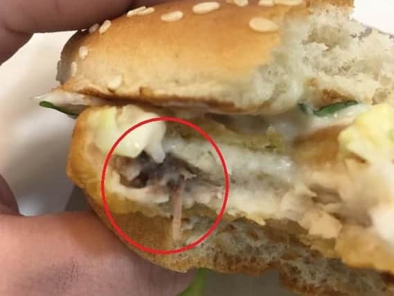 What appear to be tiny paws and a tail are clearly visible inside the burger.