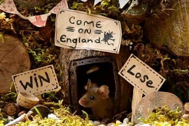 George the psychic mouse predicts an England win. (Photo: Simon Dell).