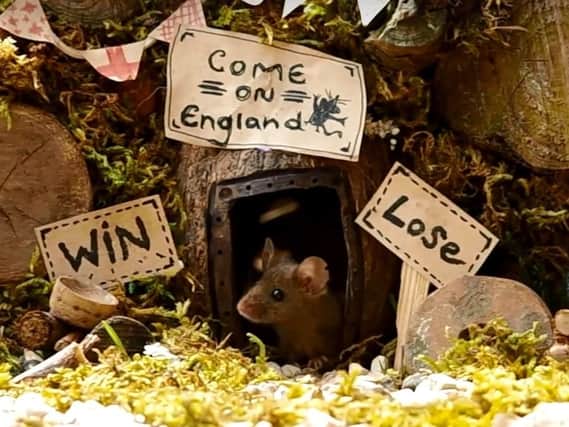 George the psychic mouse predicts an England win. (Photo: Simon Dell).
