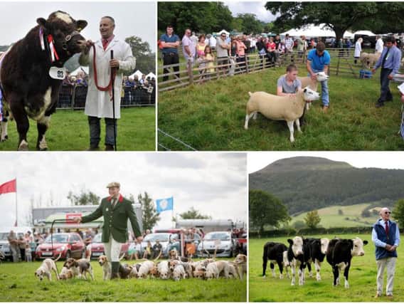 There are plenty of Agricultural Shows taking place throughout the region this summer
