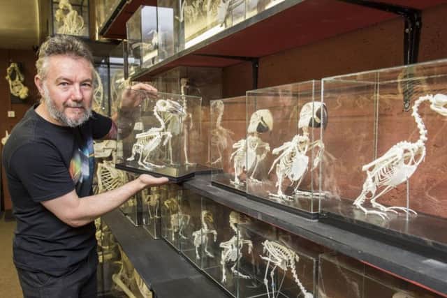 Tattooist Alan Turner with some of the skeletons he has in his shop at Dunscroft, Picture: Dean Atkins